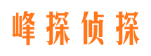 龙凤私人侦探